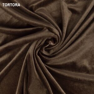 TORTORA