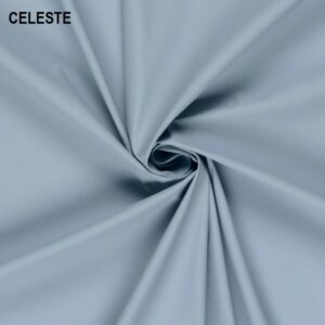 CELESTE