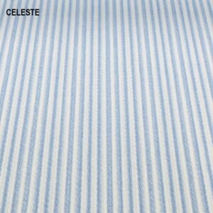 MICRO RIGA CELESTE