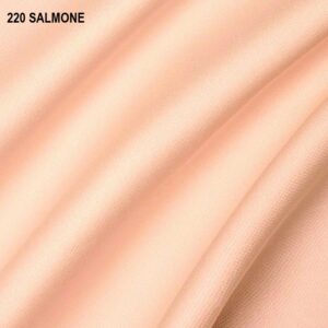 220 SALMONE