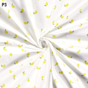 P3 - LIMONI