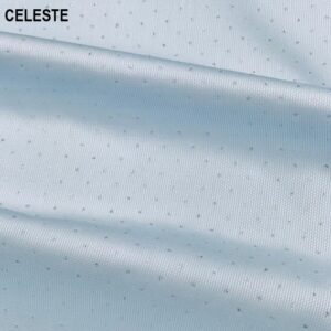 CELESTE